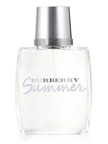 burberry summer men|burberry for men.